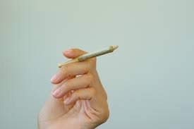 pre-roll in hand